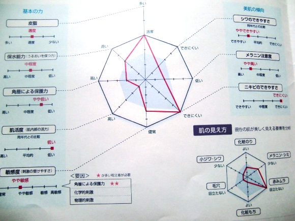 Pola エステ イン シムラ 高島平タウン新聞